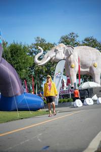 BIB: 
                            <button type="button" onclick="openModal(26543984)" class="btn btn-primary btn-sm float-right btn-popup" data-toggle="modal" data-target=".modal-high-quality">
                        <i class="fas fa-shopping-cart"></i> Add to Cart
                    </button>
                                            <button type="button" onclick="isThisMe(26543984, true)" class="btn btn-success btn-sm float-right btn-popup btn-isme hidden" data-toggle="tooltip" data-placement="bottom" title="นี่คือรูปของคุณใช่ไหม คลิกที่นี่เพื่อเอาเข้าอัลบั้ม">
                        <i class="fas fa-plus"></i> Add to album
                    </button>
                    <button type="button" onclick="isThisMe(26543984, false)" class="btn btn-warning btn-sm float-right btn-popup btn-isnotme hidden">
                        <i class="fas fa-ban"></i> Remove from album
                    </button>